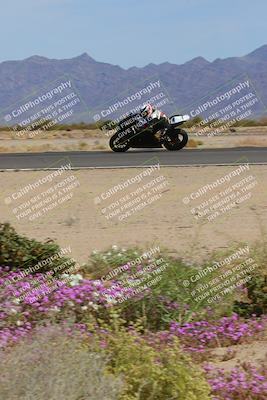 media/Mar-12-2023-SoCal Trackdays (Sun) [[d4c8249724]]/Turn 15 Inside Bloom (130pm)/